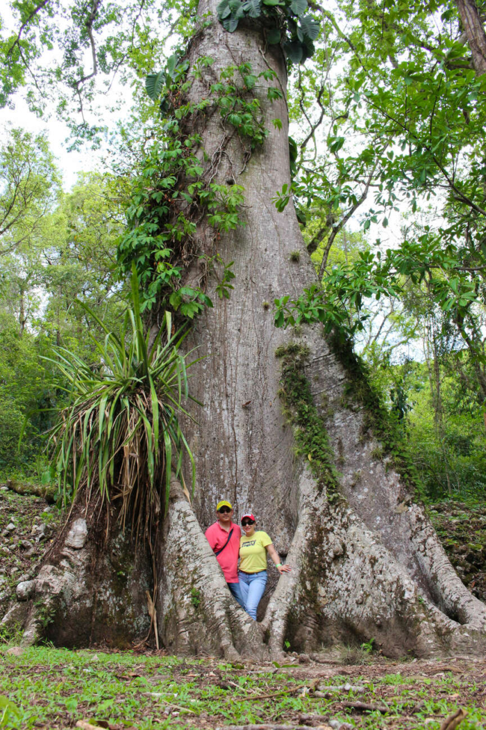 Selva, Yaxchilán y Bonampak - Chiapas Discovery